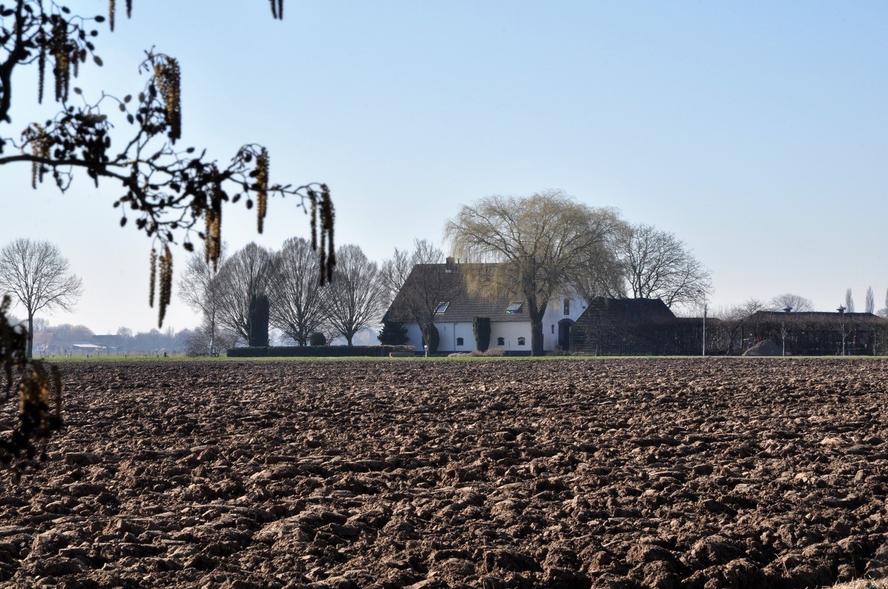 akkerbouw in de Overbetuwe