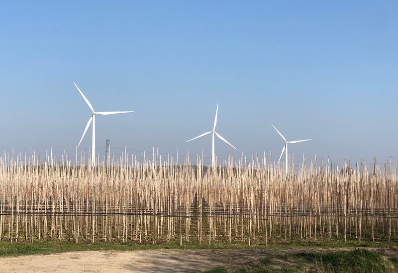 leefomgeving duurzaamheid zicht op windmolens
